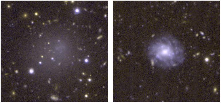 Anemic Galaxy Reveals Deficiencies in Ultra-Diffuse Galaxy Formation ...